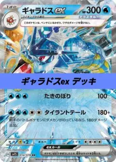 ポケモンカード 構築済み デッキ ギャラドスex N110