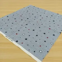 ★C252★メイドインジャパン/ブランド/プリント生地/50cm