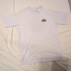海外モデル　レア　Patagonia Tシャツ Sサイズ