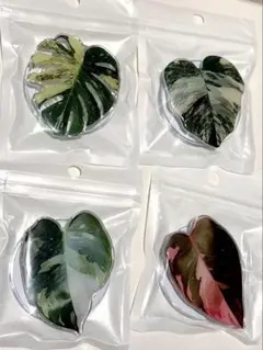 観葉植物　ポップソケット　スマホグリップ　スマホスタンド