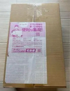 ポケモンセンタートウホク　未開封