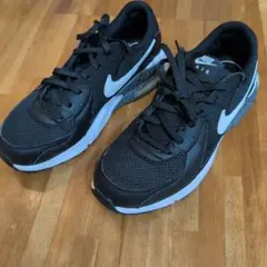 Nike Air Max スニーカー