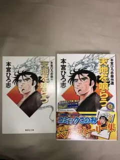 天を喰らう　本宮ひろ志　コミックごのみ