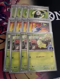 ジムプロモ　チコリータ他