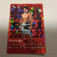 RIZINポテトスティック　ポスターカードNo.08