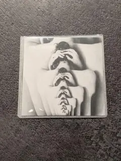 ORCA SHORE / Only Echores