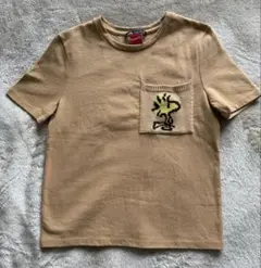ZARA X PEANUTS スヌーピー 刺繍Tシャツ