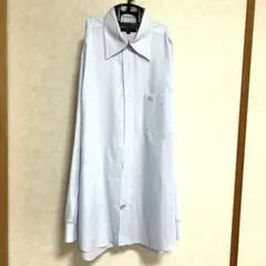 Item thumbnail for item 66cad9e1-4725-4d6e-bbad-8463fcfb8399