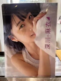 Item thumbnail for item 5c497af6-df97-46b1-a884-d0cc364eb626