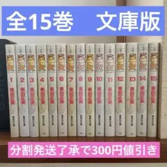 聖闘士星矢 文庫版　全巻　車田正美