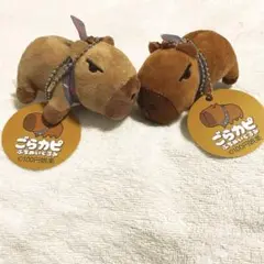 ごらカピ ぬいぐるみ 2色セット