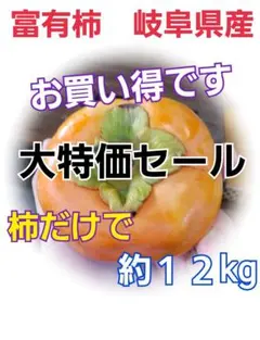 86 富有柿 12kg 甘柿