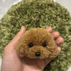 オーダー　体付きに変更＊うるうるトイプードル　毛糸キーホルダー＊マスコット