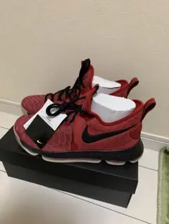 Item thumbnail for item 0627b4bf-2aff-4585-87a5-5213d643fdc6