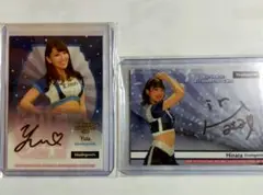 Item thumbnail for item a50d1c65-32d8-48ce-aafc-49df0fea0970