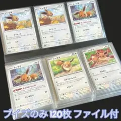 ポケモンカード　ブイズ　まとめ売り　120枚　引退品