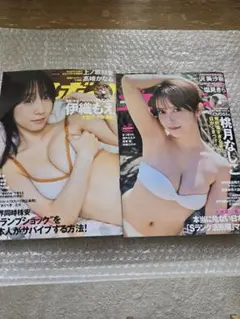 【未読品】週刊プレイボーイ 桃月なしこ 伊織もえ 2冊セット 未開封DVD付き