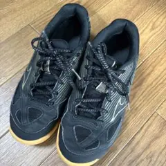 Item thumbnail for item e1f9becc-e9b6-44f9-a4fb-3142b0644fbb