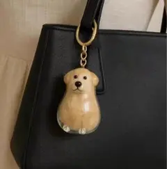 犬　ゴールデンレトリバー　犬　毛玉入れ　キーホルダー　メモリアル　けだまだま
