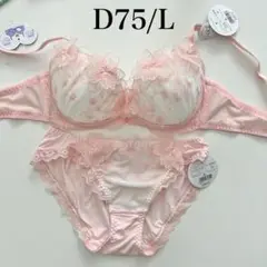 定価4950円【シアーガーデニア】 D75/L 上下セット SP