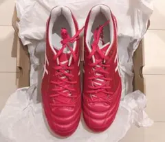 新品 アシックス DSライト X-FLY 5