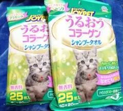Item thumbnail for item d7f253b5-1c2a-4b18-bdb0-a2e236978d84