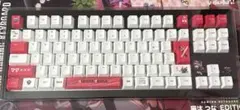 VSPO GEAR GAMING KEYBOARD 猫汰 つな EDITION