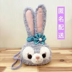ステラルー　パスケース　ディズニーシー