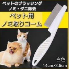 Item thumbnail for item 9b331ed6-eb6c-4542-af93-622f542cf237