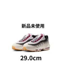 air max 95 SB 29.0cm Cactus Flower