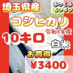 お米 10キロ コシヒカリ 精米 白米 新米