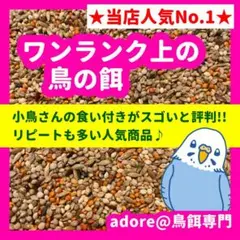 【1番人気商品】ワンランク上の鳥の餌 800g