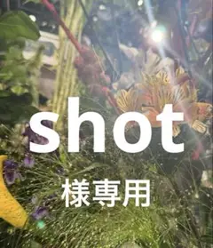 専用