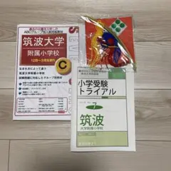 新品未使用　筑波大学附属小学校 小学校受験　2冊セット