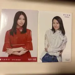 桜井玲香 公式フォト6枚
