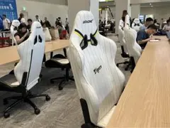 AKRACING Tigers ゲーミングチェア ホワイト