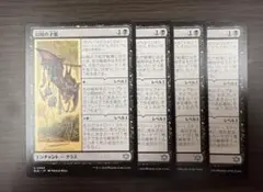 MTG 山賊の才能 4枚 日本語