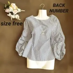✨極美品✨BACK NUMBER ストライプ柄パフスリーブブラウス free