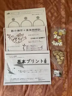 【書込み無】TSUBASA通信教育1-10号セット・単元別集中特訓【小学校受験】 書込み無】TSUBASA通信教育1-10号セット・単元別集中特訓