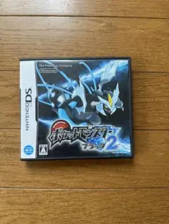 Nintendo DS ポケットモンスター ブラック2