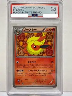 ブースター PROMO BW-Pプロモ 183/BW-P ブースター(183/BW-P) | プロモ | ドラゴンスター | ポケモンカード