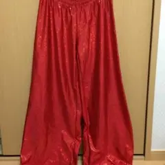 ダンス 衣装 赤 ズボン KARA