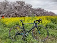 Merida Reacto 4000 2018