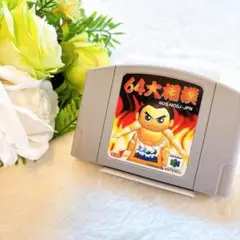 動作確認清掃済みニンテンドー64N64大相撲任天堂Nintendo