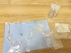 Item thumbnail for item 9ff895ff-4f01-4be8-ba93-096fa74768cc