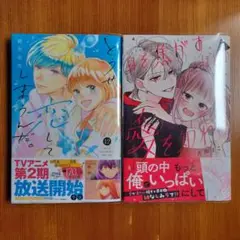 身を焦がすほどの愛を知れ(2)　どうせ恋してしまうんだ 12