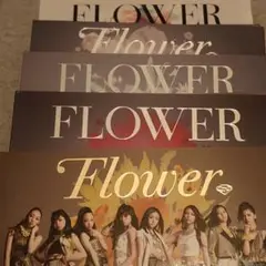 Flower 5セット