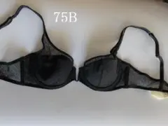 B75☆IMPLICITE・アンプリシット フランス高級下着ブラ 在庫処分価格