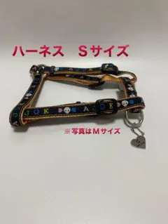 Item thumbnail for item e2edb8fd-2645-4688-aae4-5c8fd8b9dae8