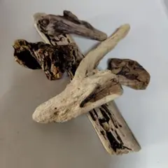 流木５点です。